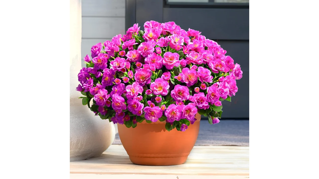 Haveasip Store: 4 Large Bundles Artificial Flowers