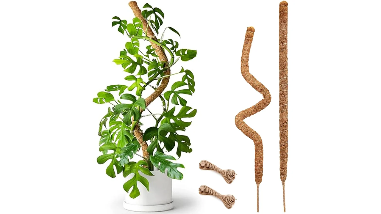 Moss Pole: 2 Pack 25″ Bendable Moss Pole – In-Depth Review