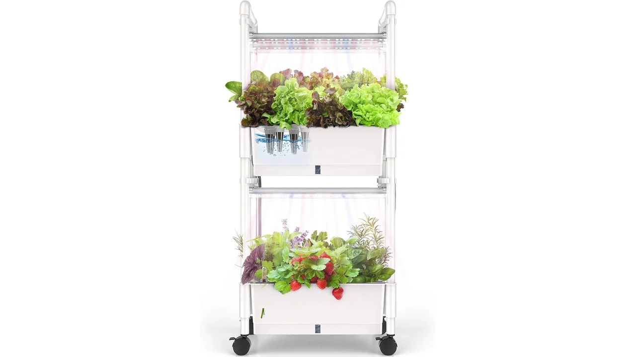 Hydroponics Growing System,AOONEG 28Pods – Honest Review