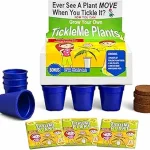The image shows a child happily planting seeds for a collection of fast-growing indoor plants.