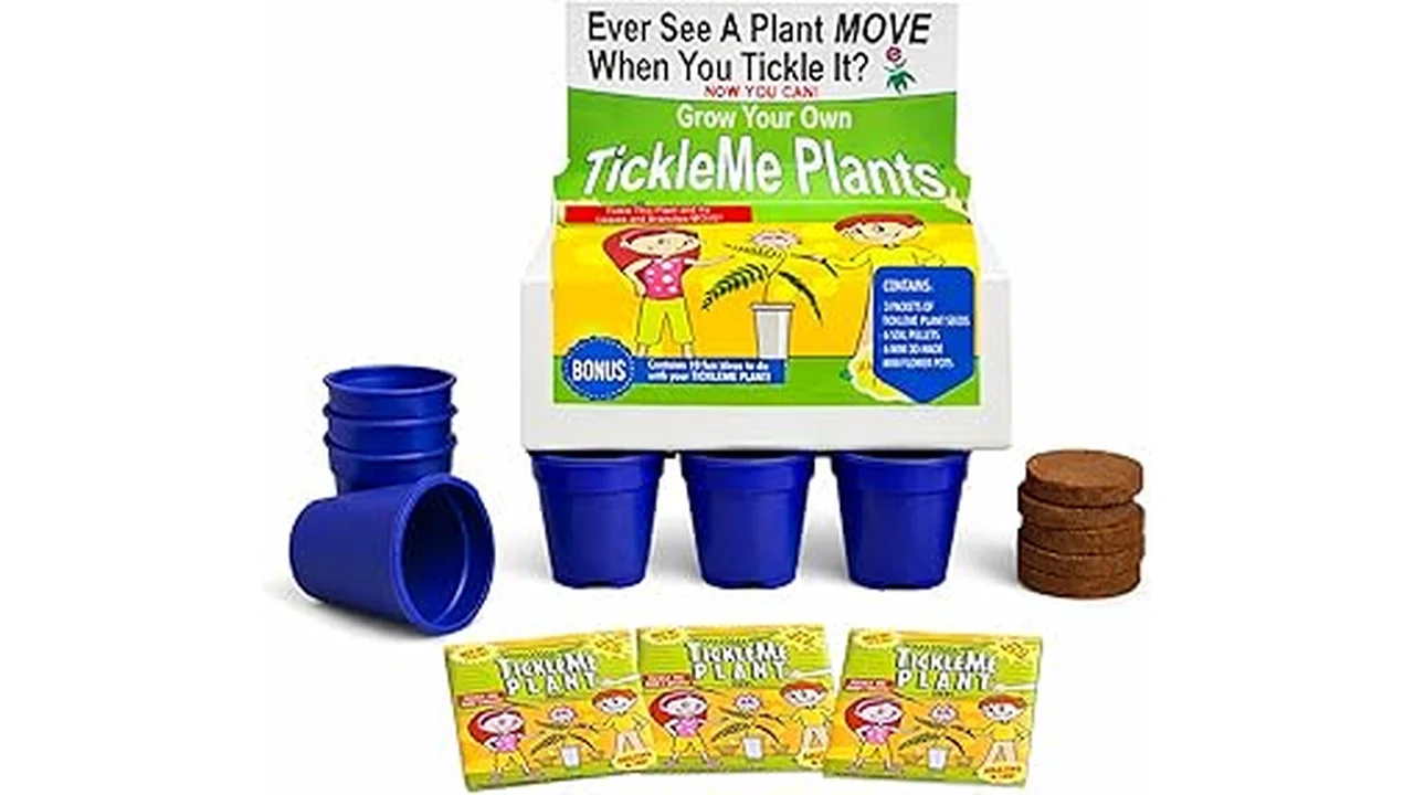 The image shows a child happily planting seeds for a collection of fast-growing indoor plants.