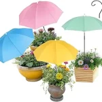 The image shows lush, vibrant plants thriving on a sunny balcony, perfect for direct sunlight gardening.