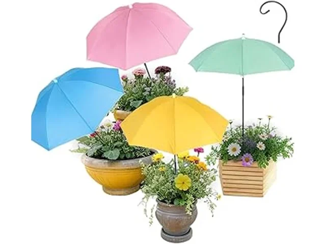 20 Best Plants for Balcony With Direct Sunlight in Florida Reviews