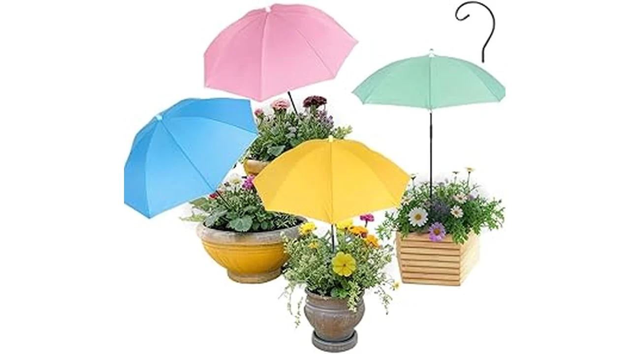 The image shows lush, vibrant plants thriving on a sunny balcony, perfect for direct sunlight gardening.