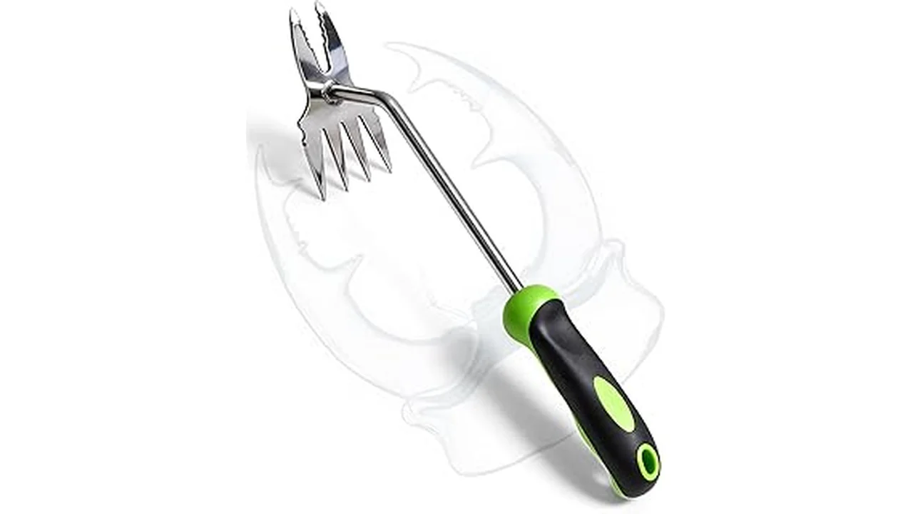 The image shows a collection of essential gardening tools, perfect for the Best 20 Gardening Tools Brand in Florida Review.