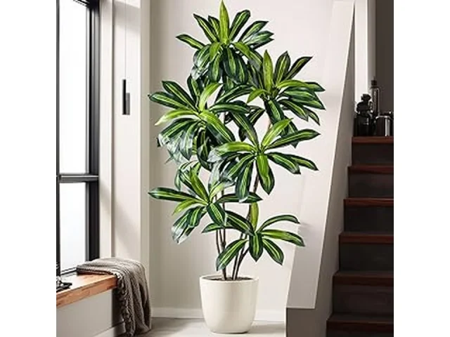 Best Evergreen Low Maintenance Privacy Plants Florida