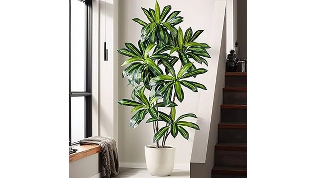 The image shows lush green privacy plants, highlighting the best 3 evergreen low maintenance options for Florida.