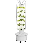 The image shows a vibrant vertical hydroponic indoor garden with leafy greens in Florida.