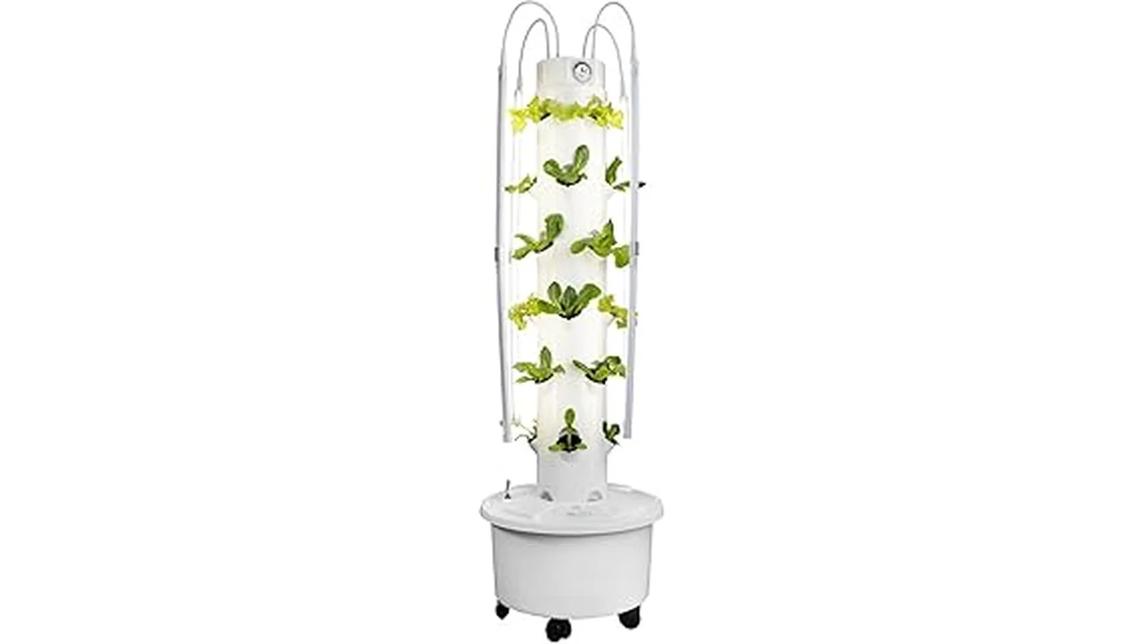 The image shows a vibrant vertical hydroponic indoor garden with leafy greens in Florida.