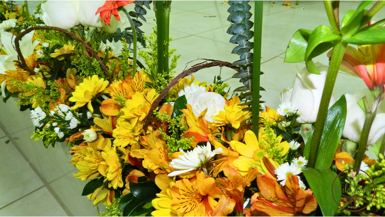 What to Plant August Zone 7a Indoors Flowers in Florida 2 What to Plant August Zone 7a Indoors Flowers in Florida