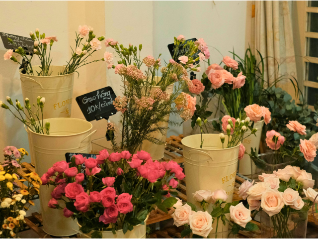 What to Plant August Zone 7a Indoors Flowers in Florida