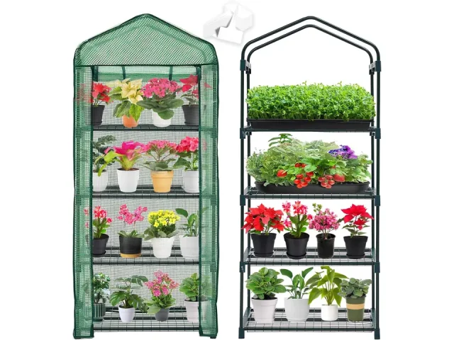 Purlyu Mini Greenhouse Indoor Outdoor: In-Depth Review