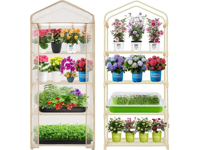 Purlyu 4-Tier Mini Greenhouse – Detailed Review