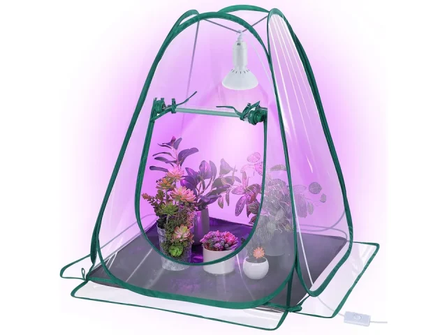Meonum 1 Pack Mini Greenhouse – Honest Review