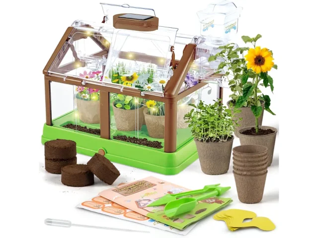 Kids Plant Growing Kit – Kids Greenhouse & – Honest Review