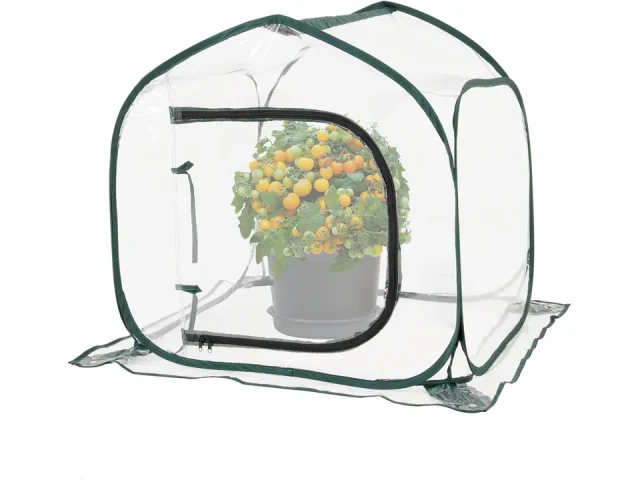 Mini Transparent Pop Up Greenhouse – Honest Review