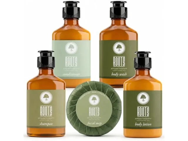 150 Piece Airbnb Essentials Hosts,Hotel Shampoo & – Expert