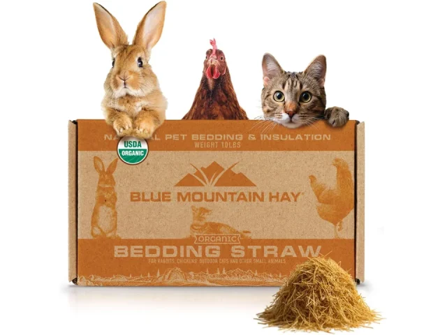 Blue Mountain Hay Organic Bedding Straw Review