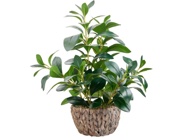 AlphaAcc 18.8 Inch Artificial Ficus Plant – Honest Review