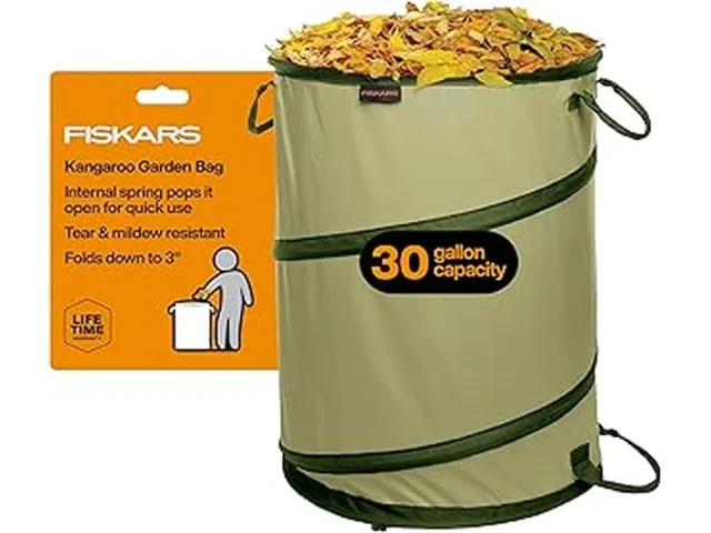 Best Outdoor Yard Waste Bins for Beginners in Florida