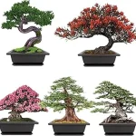 The image shows vibrant, lush plants thriving outdoors in sunny Florida, ideal low maintenance selections.