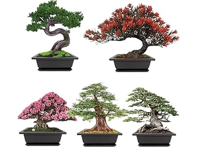 Top 10 Best Low Maintenance Outdoor Plants for Florida