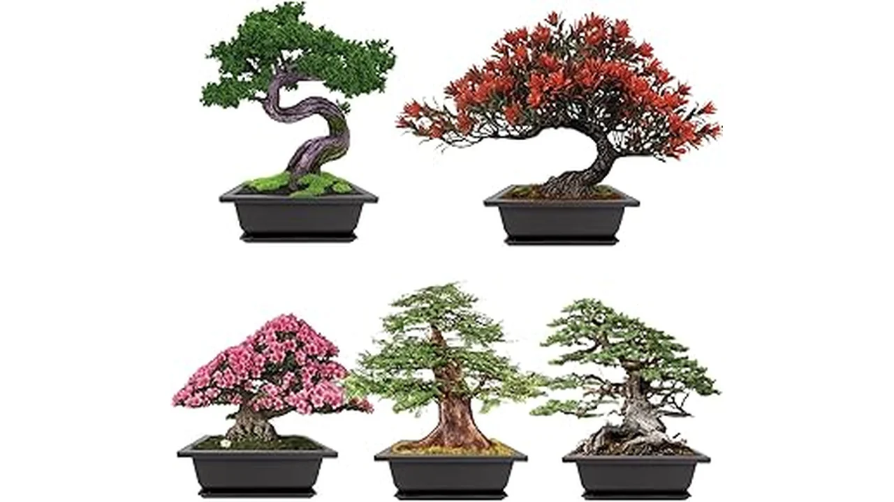 The image shows vibrant, lush plants thriving outdoors in sunny Florida, ideal low maintenance selections.