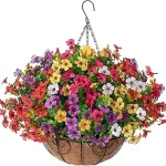 This image shows vibrant, sun-loving low maintenance outdoor plants perfect for any full sun garden.
