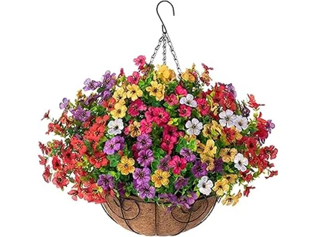 Top 10 Best Low Maintenance Outdoor Plants Full Sun