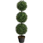The image shows vibrant, year-round low maintenance outdoor plants, perfect for any garden.