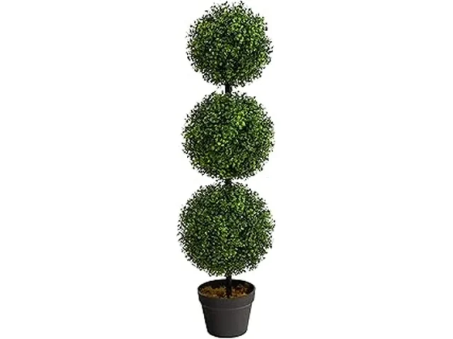 10 Best Low Maintenance Outdoor Plants for Balcony