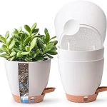 The image shows various self-watering planter pots with green herbs, perfect for a top 10 list.