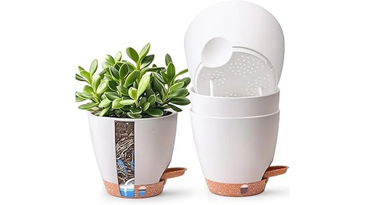 The image shows various self-watering planter pots with green herbs, perfect for a top 10 list.