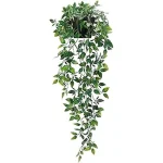 The image shows a stylish living room corner decorated with several small, aesthetic indoor house plants.