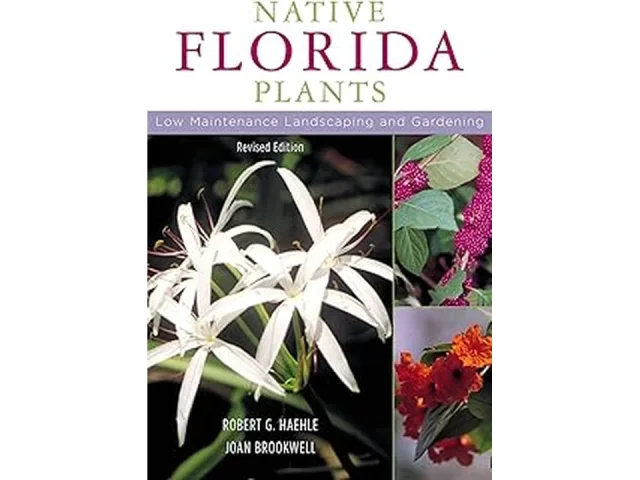 Top 10 Low Maintenance Indoor Plants in Florida