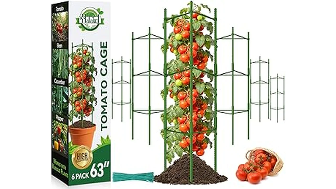 The image shows adjustable plant support rings holding up healthy tomato plants for the Top 5 list.