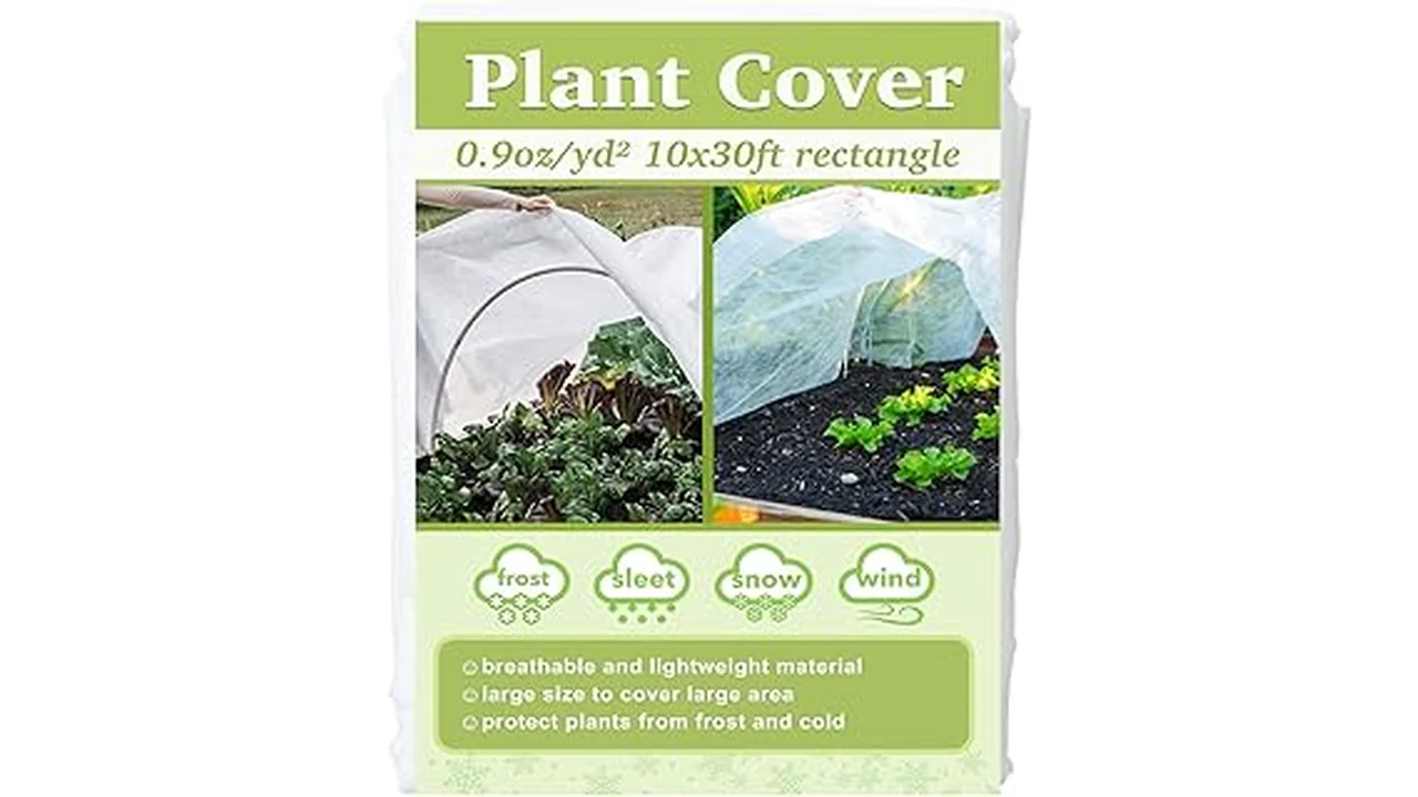 The image shows several breathable frost protection covers protecting plants from winter weather.