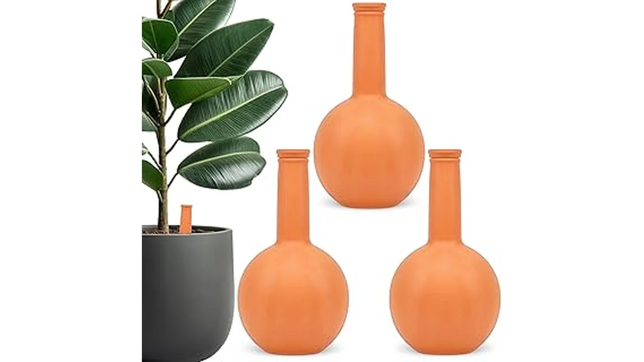 The image shows various stylish ceramic watering globes in vibrant colors, perfect for houseplants.