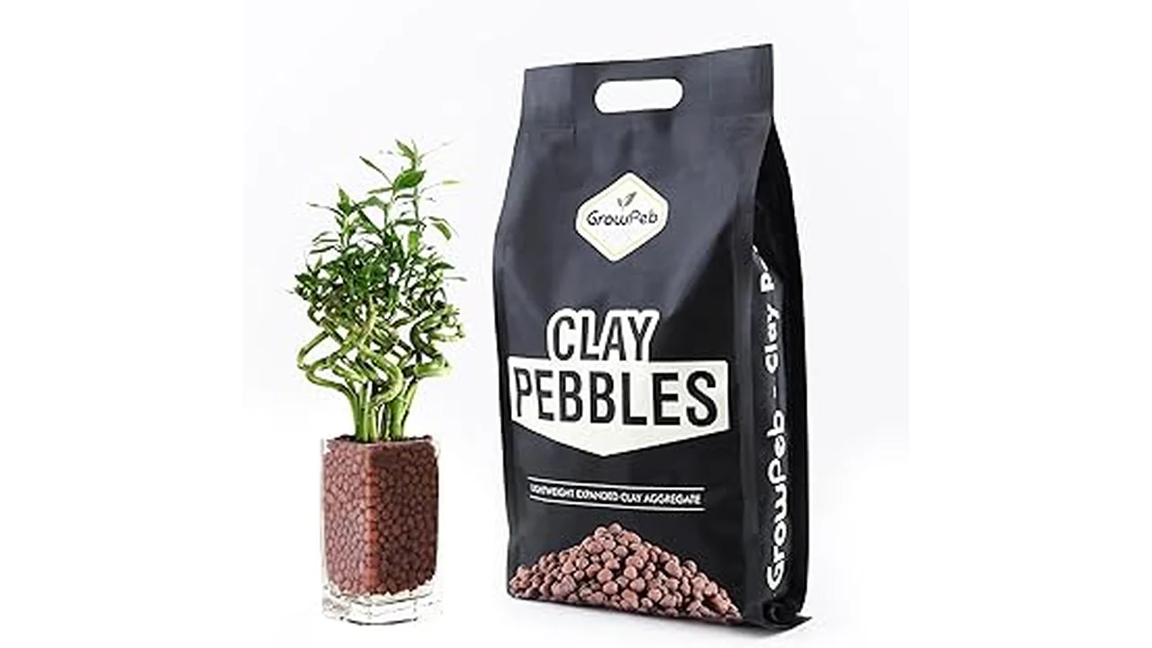 The image shows a pile of porous clay balls ideal for hydroponic plant propagation.