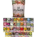 The image shows a visually appealing selection of seed packets for the Top 5 Best Companion Seeds Bundle for Pollinator Plants.