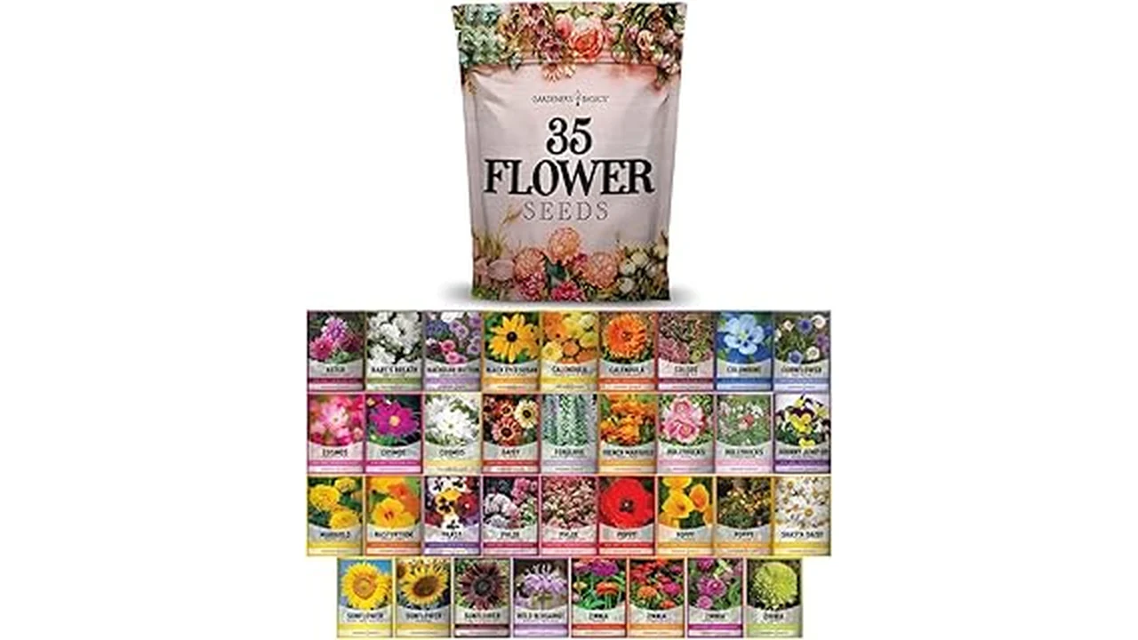The image shows a visually appealing selection of seed packets for the Top 5 Best Companion Seeds Bundle for Pollinator Plants.