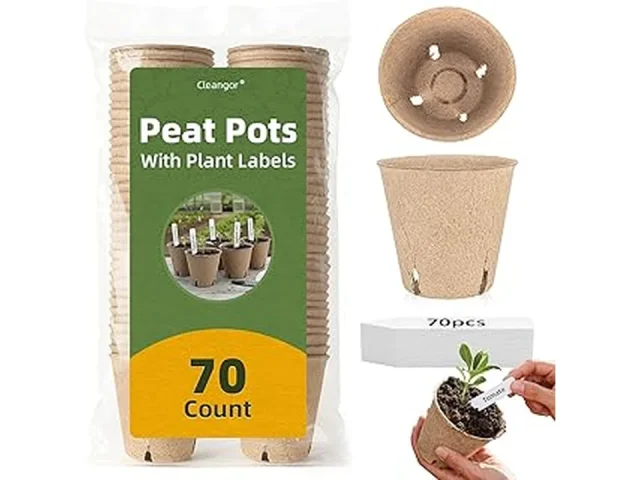 Top 5 Best Eco Friendly Biodegradable Pots for Seedlings