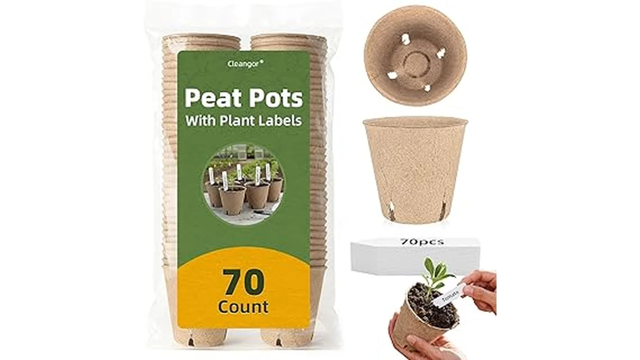 The image shows a collection of various biodegradable seedling pots, showcasing eco-friendly options.