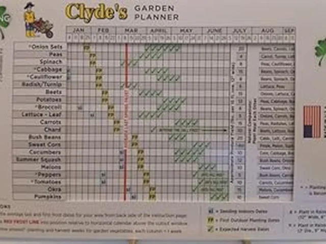 Top 5 Best Garden Planning App With Planting Calendar