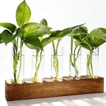 The image shows a stylish glass propagation station holding plant cuttings, perfect for rooting new plants.