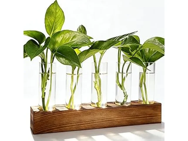 Top 5 Best Propagation Station for Watering Plant Cuttings