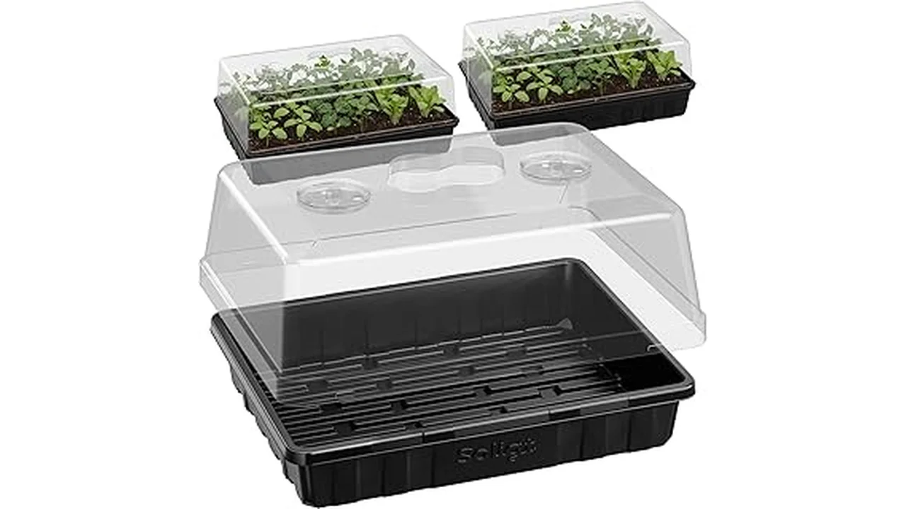 This image shows a set of seed starter trays with clear dome covers, perfect for your gardening needs.