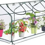 The image shows a compact plastic tunnel greenhouse kit ideal for small backyard gardening projects.
