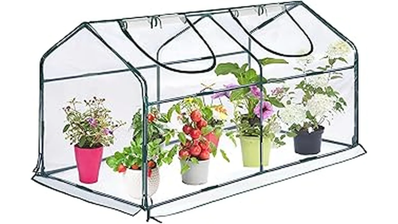 The image shows a compact plastic tunnel greenhouse kit ideal for small backyard gardening projects.