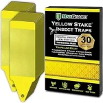 This image shows colorful sticky traps catching garden insects, highlighting the best pest control options.